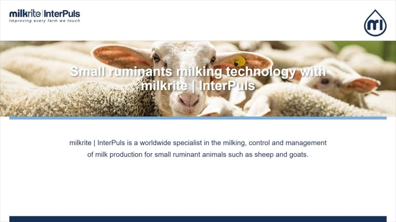 milkrite | InterPuls - Video Presentation on our Small Ruminant Product Offering