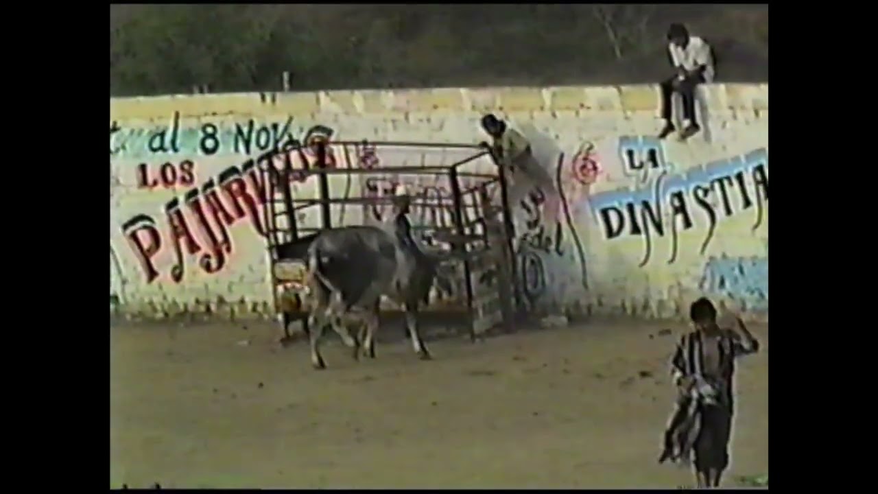 fiestas patrias de nocupetaro michoacan 1996