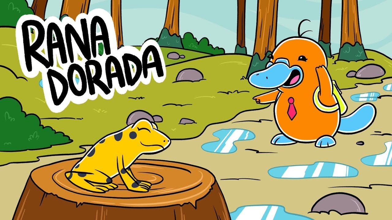 Hola Flinko - Rana Dorada / Capítulo 12 Completo Temporada 1