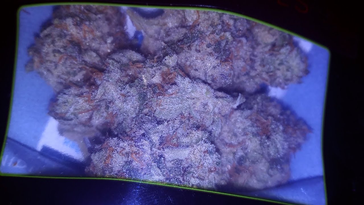 Grease Monkey strain review by Genesis Bioceutical
