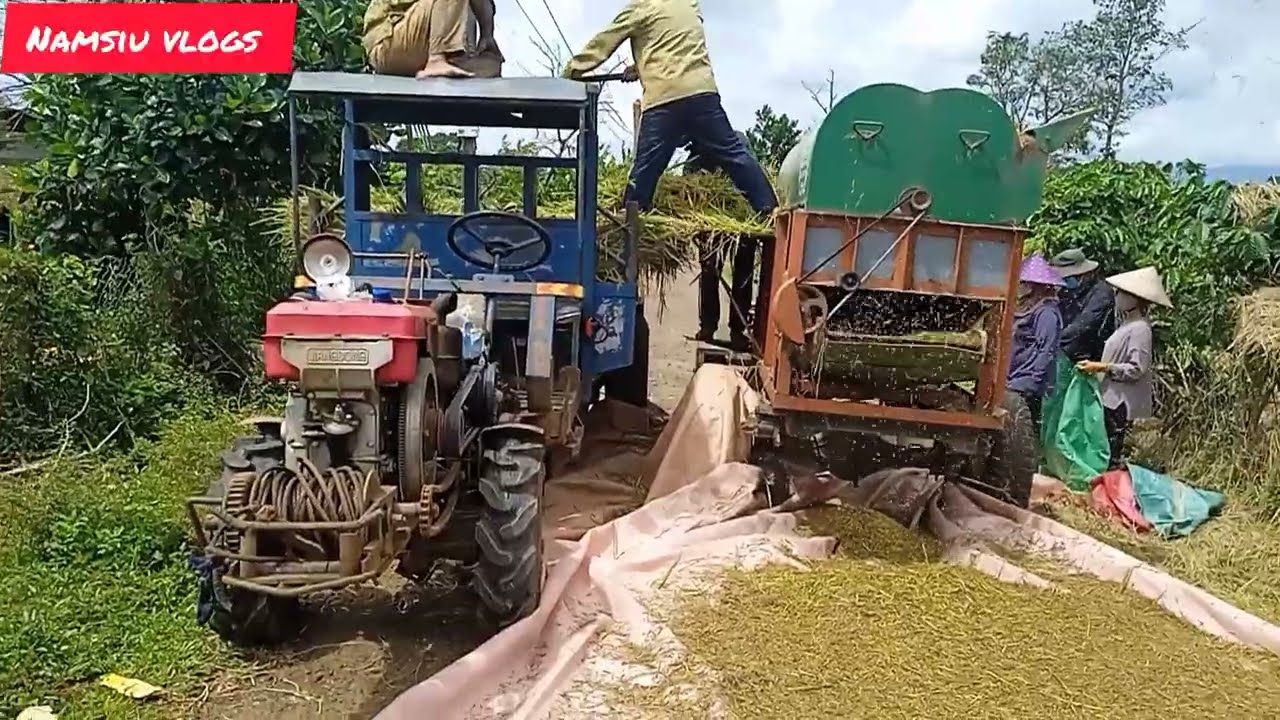 Máy tuốt lúa khi mùa gặt lúa mới về quê tôi 