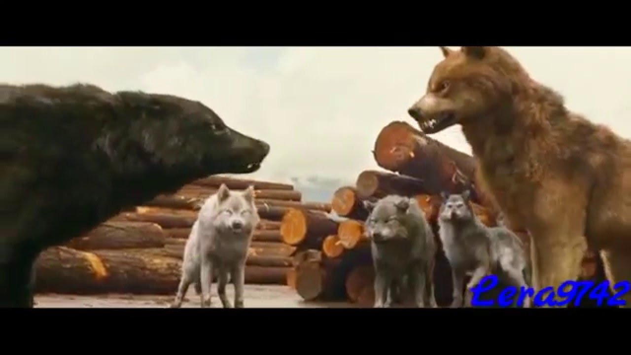 Twilight - Running with the wolves