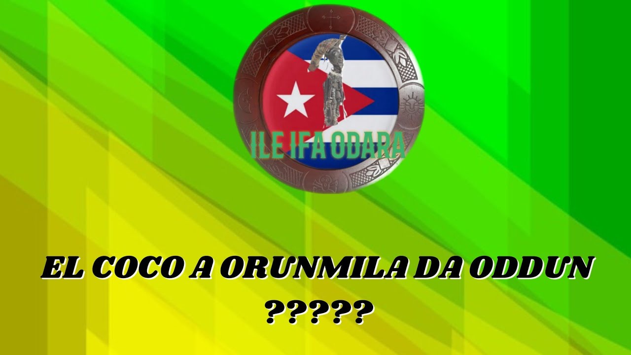 EL COCO A ORUNMILA DA ODDUN ???????.#conversacion #ileifaodara #religionyoruba #ifa #ifacriollo