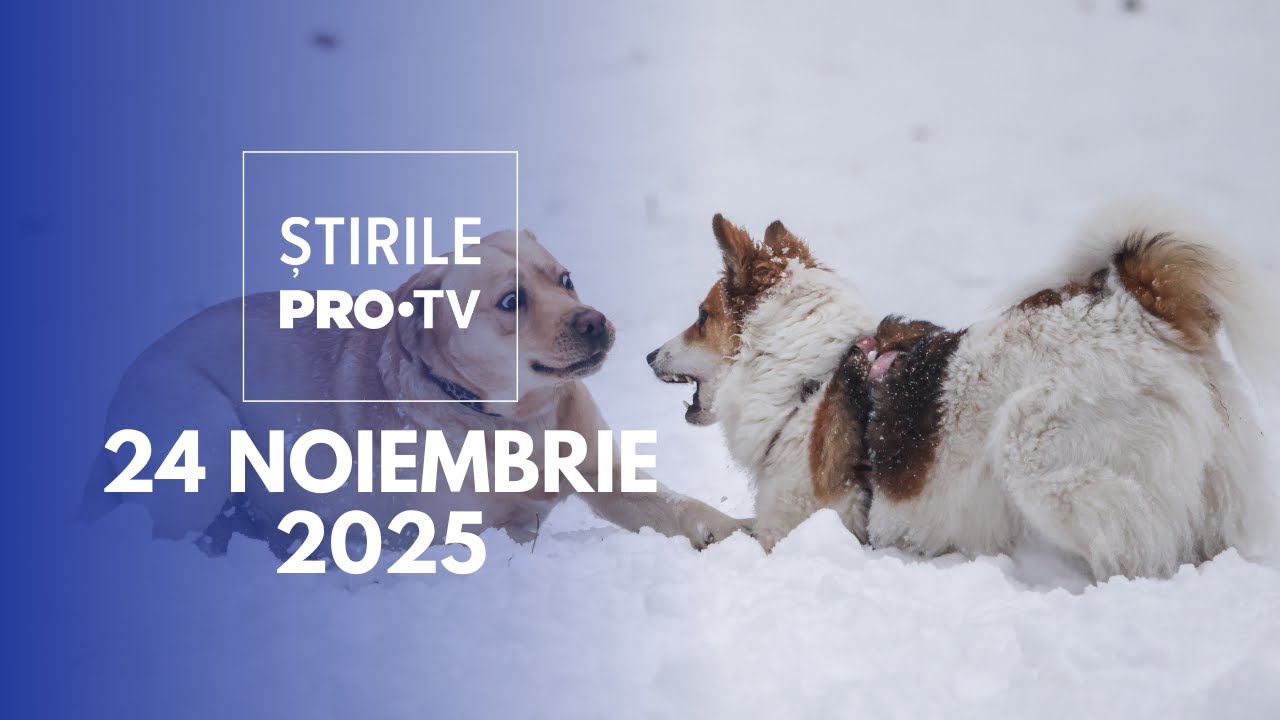 Știrile PRO TV - 24 Noiembrie 2025 | Lege pentru apărarea animalelor
