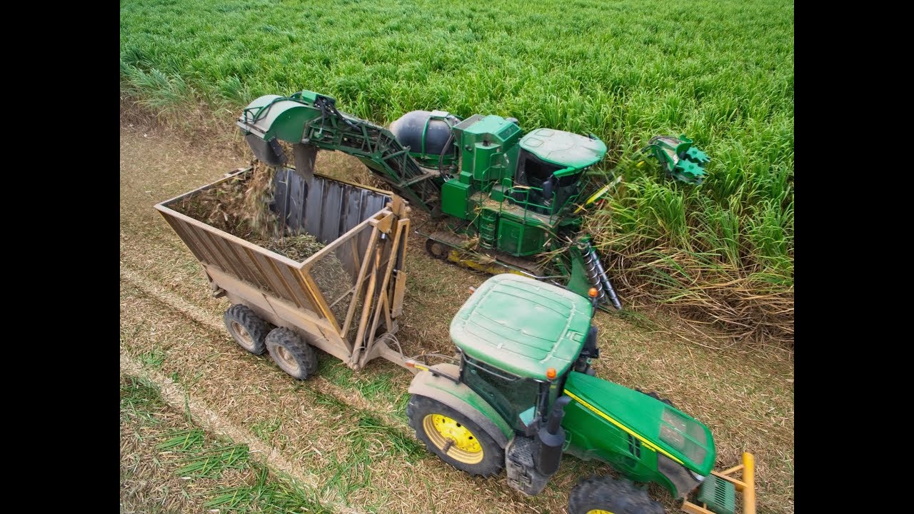 John Deere CH570 Sugarcane Harvester 2017 Grinding HD