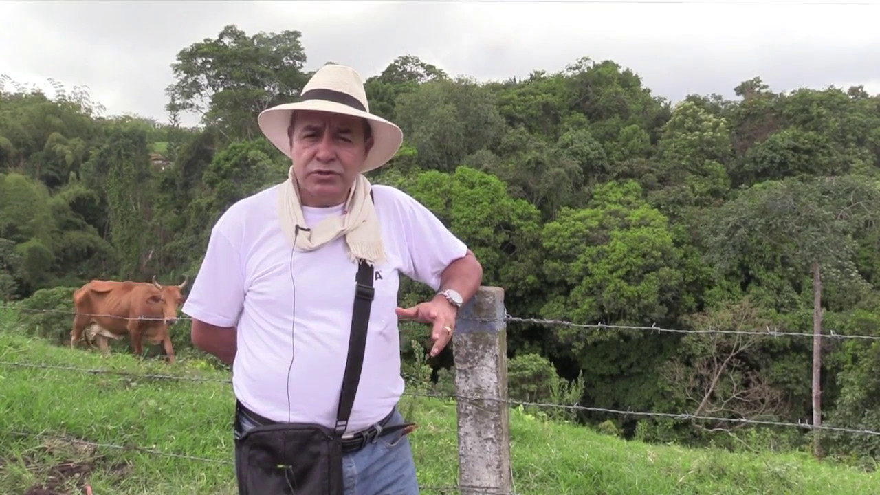 El Mangostino, El oro de Mariquita - Tolima