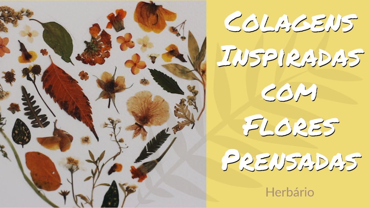 Colagens Inspiradas com Flores Prensadas
