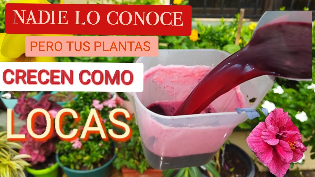 NADIE LO CONOCE PERO TUS PLANTAS CRECERÁN  SIN CONTROL