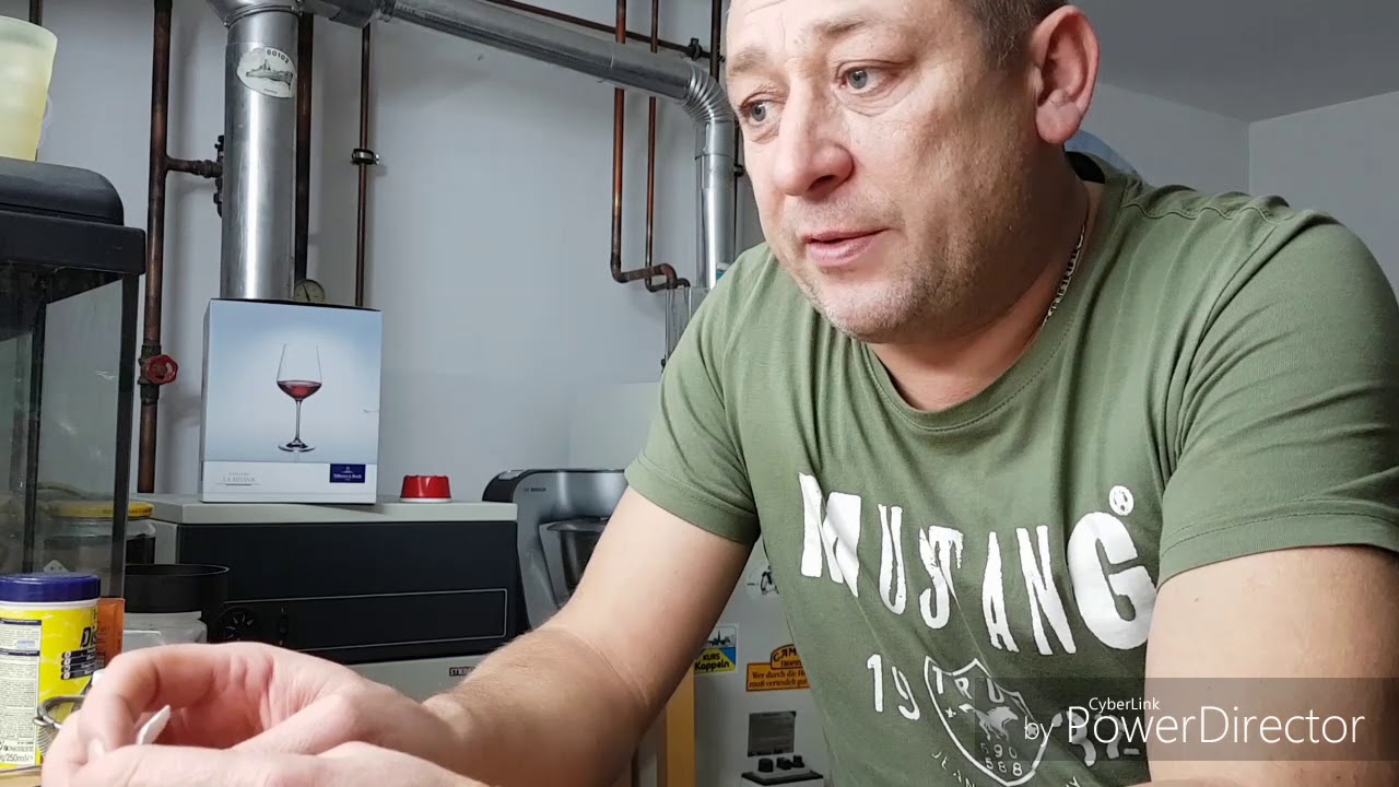 Дафния разводим из сушеной  дафний