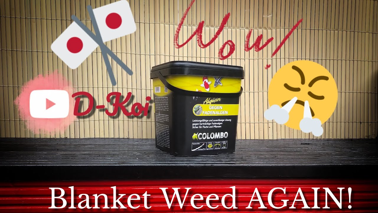 THE BEST BLANKET WEED TREATMENT | COLOMBO ALGISIN | KLJ #38
