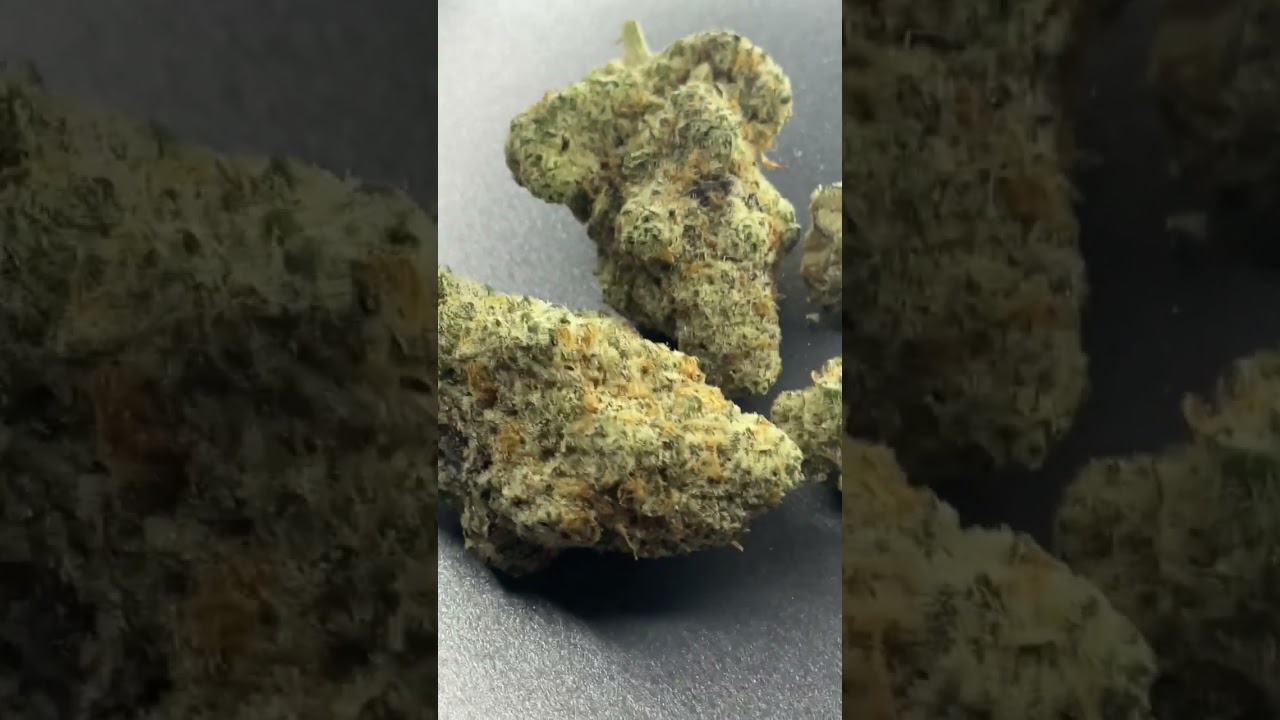 Miracle Valley Canada MAC-1+ T25 Miracle Alien Cookies Bud Porn