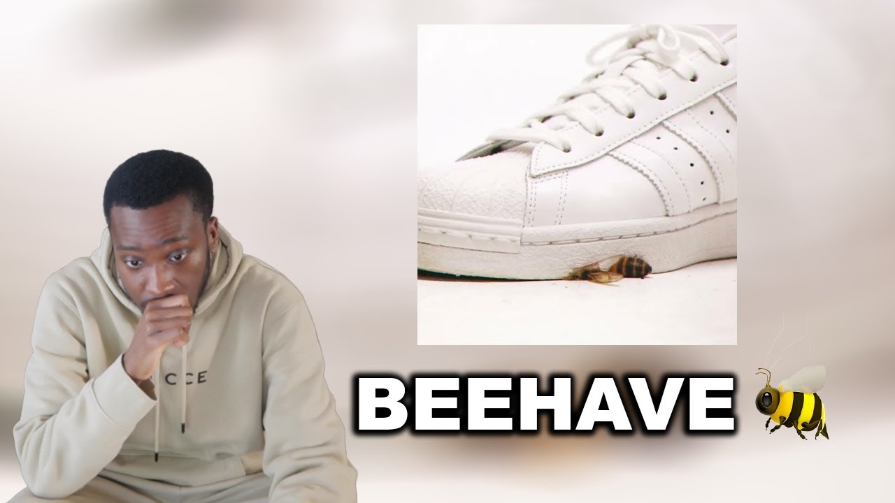 Chip - BeeHave (REACTION)