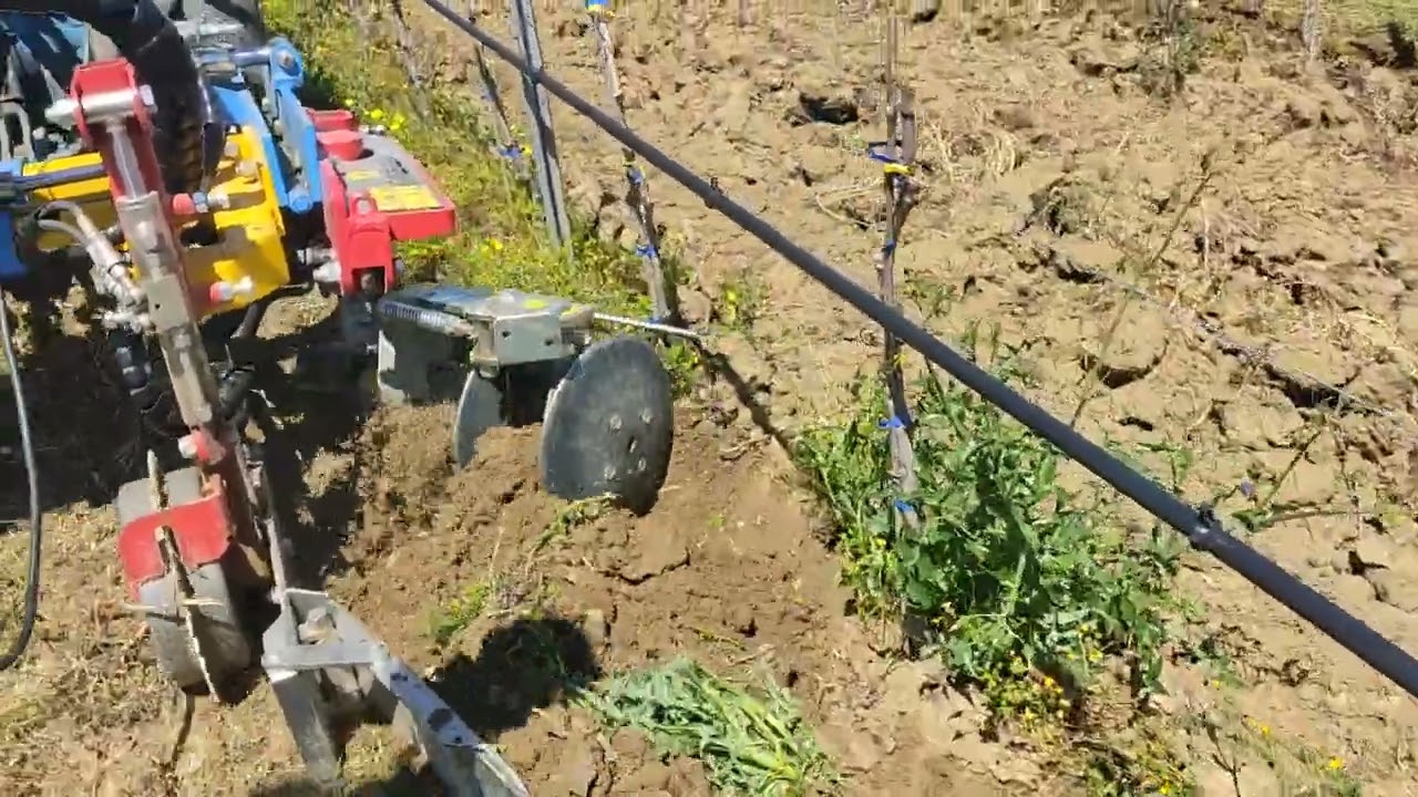 PROVA IN CAMPO CON INTERCEPPO ARRIZZA EXPO SINGOLO R1TOP CON DISCHIERA MOTRICE