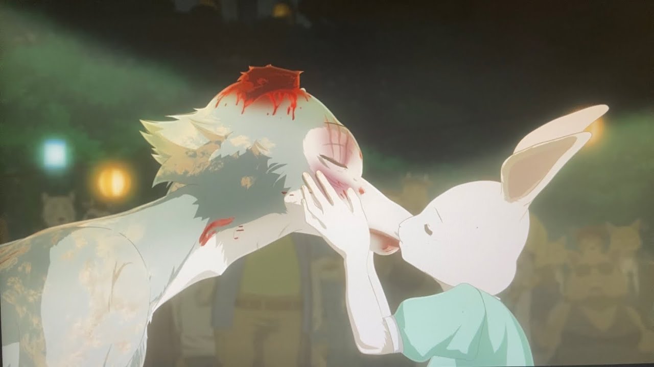 Legoshi and haru confess their love to the public