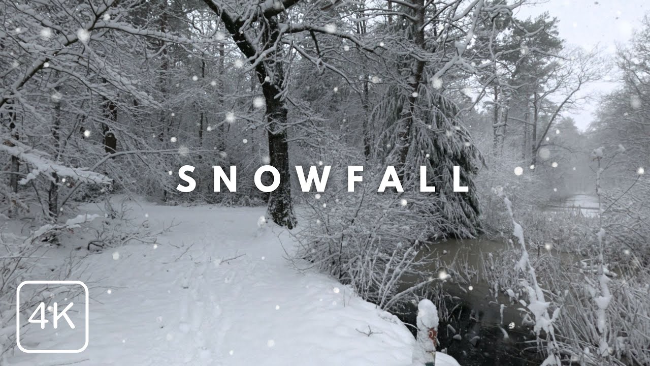 Snowfall in a Magical Forest | 4K Walking in the Winter Snow (Relaxing Crunch Sounds)
