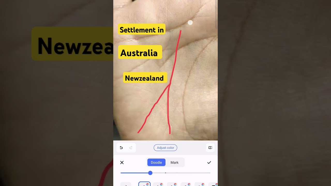 Settlement in Australia #foreignsettlement #palmistry #luckysigns #astrology