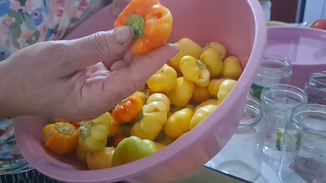 Salata i šljivopita na Fadilin način 😃