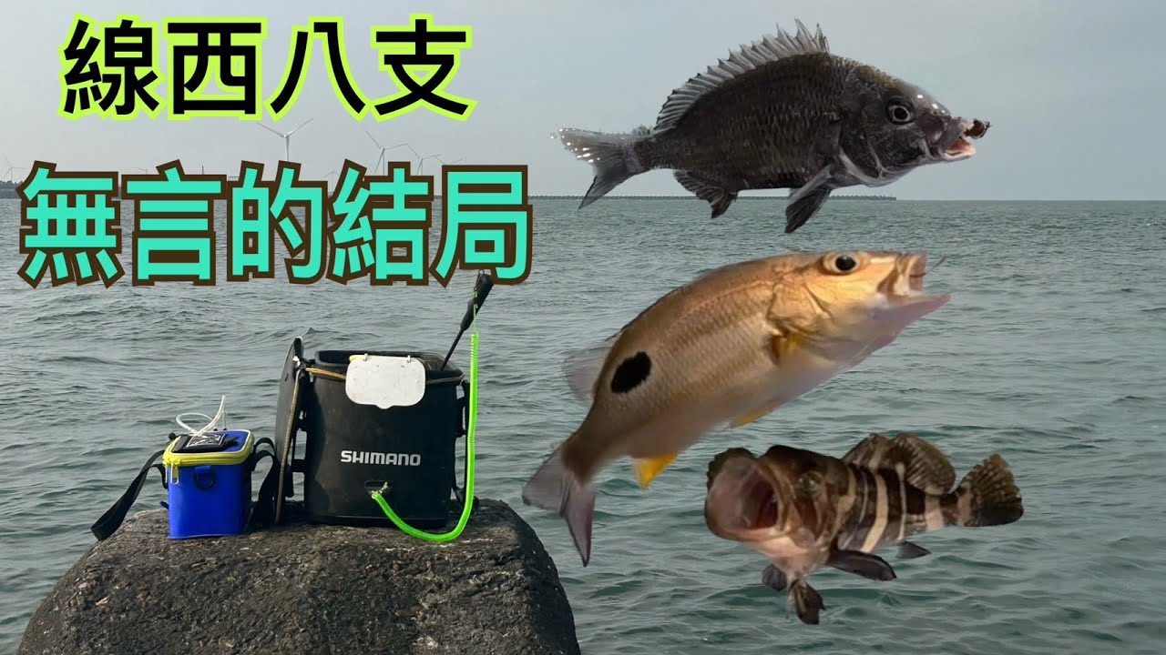 線西第八支-02 黑格 黑點仔 班頭 石斑魚 樣樣來 最終⋯⋯釣魚有伴最好！