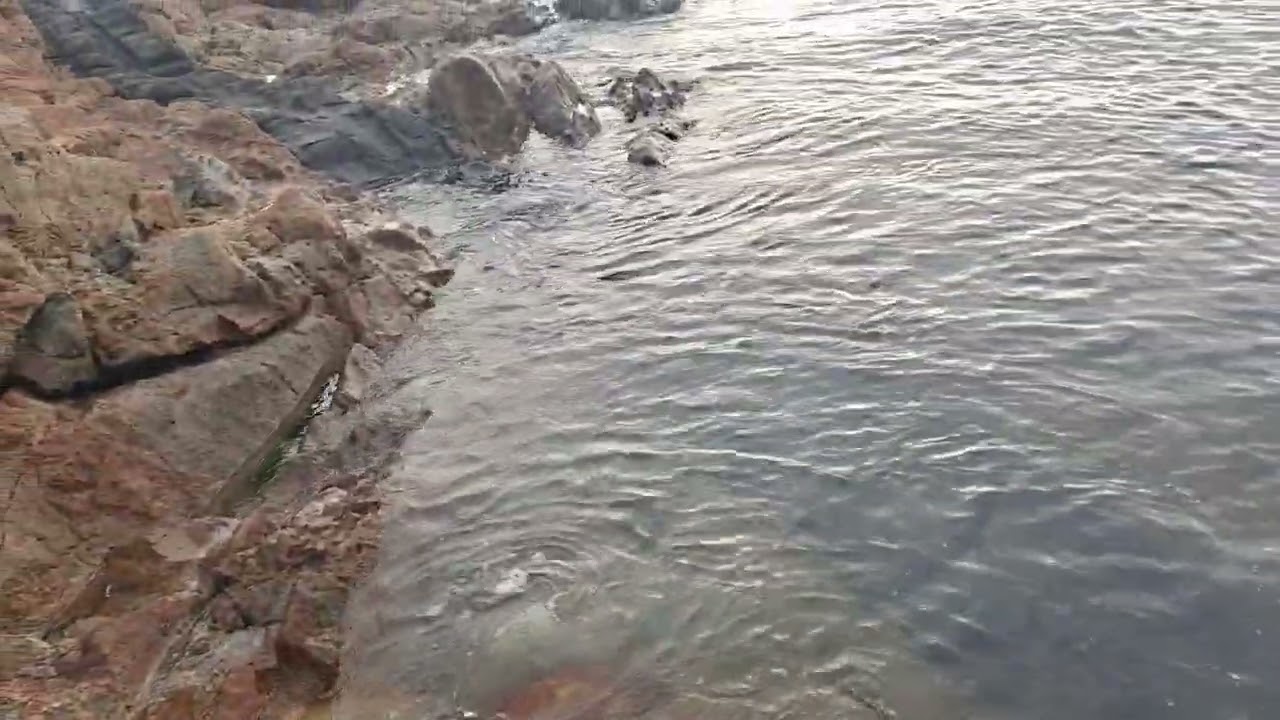 동네 한바퀴 #산책 