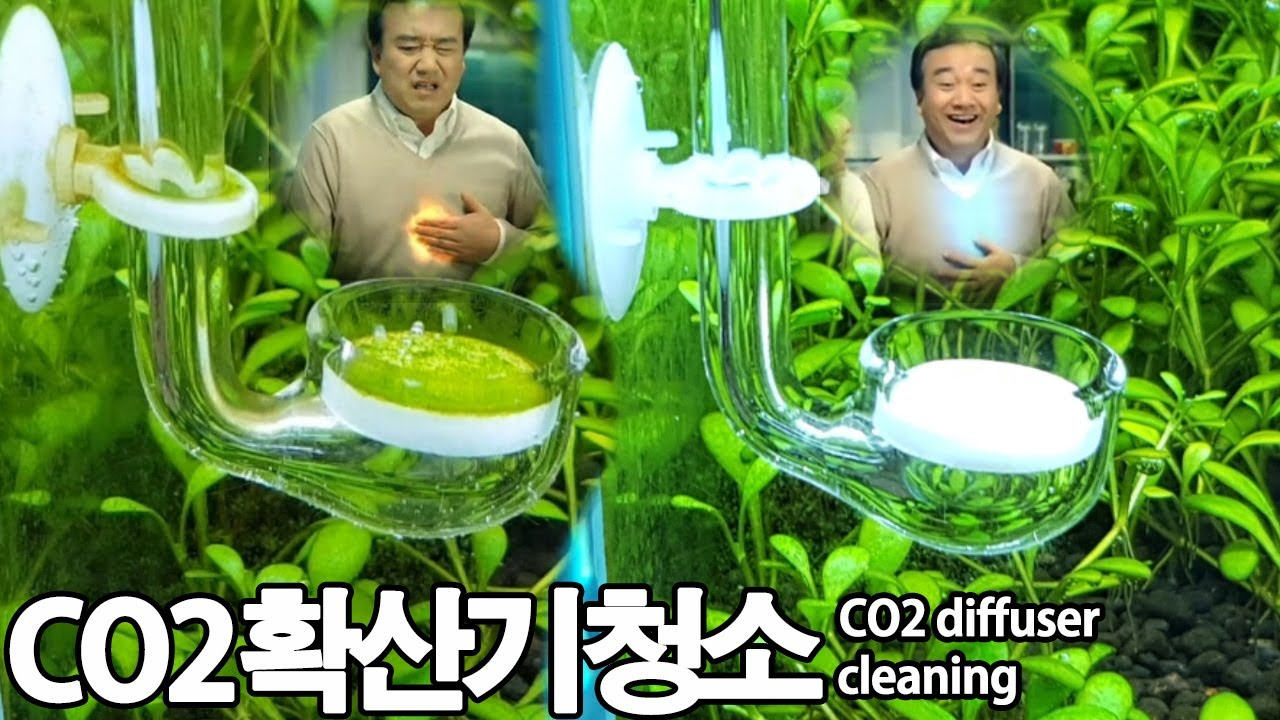 이산화탄소 확산기 청소 - CO2 diffuser cleaning