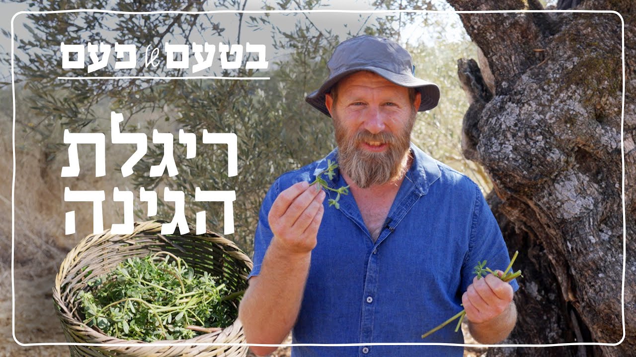 מהמטבח הדרוזי באהבה | בטעם של פעם: ריג'לה 🍀