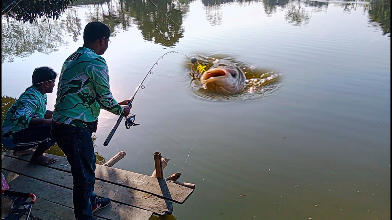 ৩০০০ টাকায় এত বিশাল কাতল মাছ ধরা দেখে অবাক হয়ে গেলাম