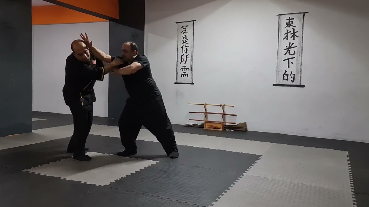 #combatbujutsu #aikijutsu #combataikijutsu #kenpo#aikido#silat #koppojutsu#kansetsuwaza #boks#güreş