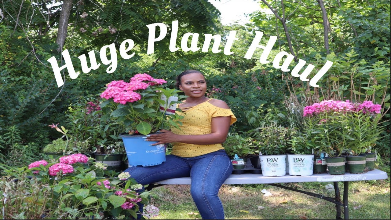 PLANT HAUL| CLEARANCE PLANTS| GARDENADDICTZ