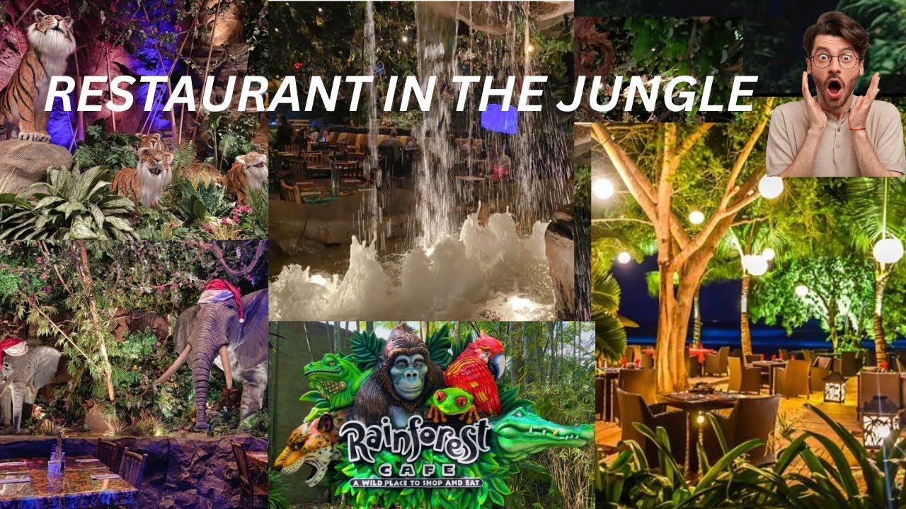 CAFE/RESTAURANT IN THE JUNGLE? THE BEST IN THE WORLD!!