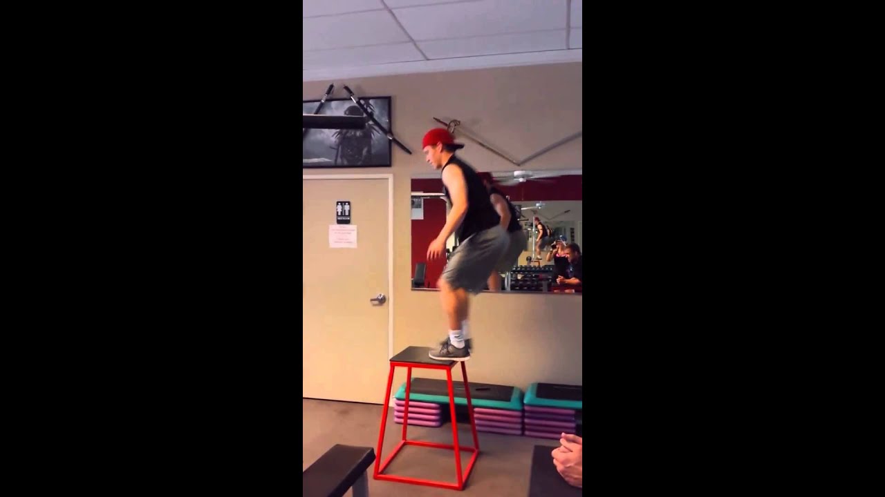 Tim the Trainer play time