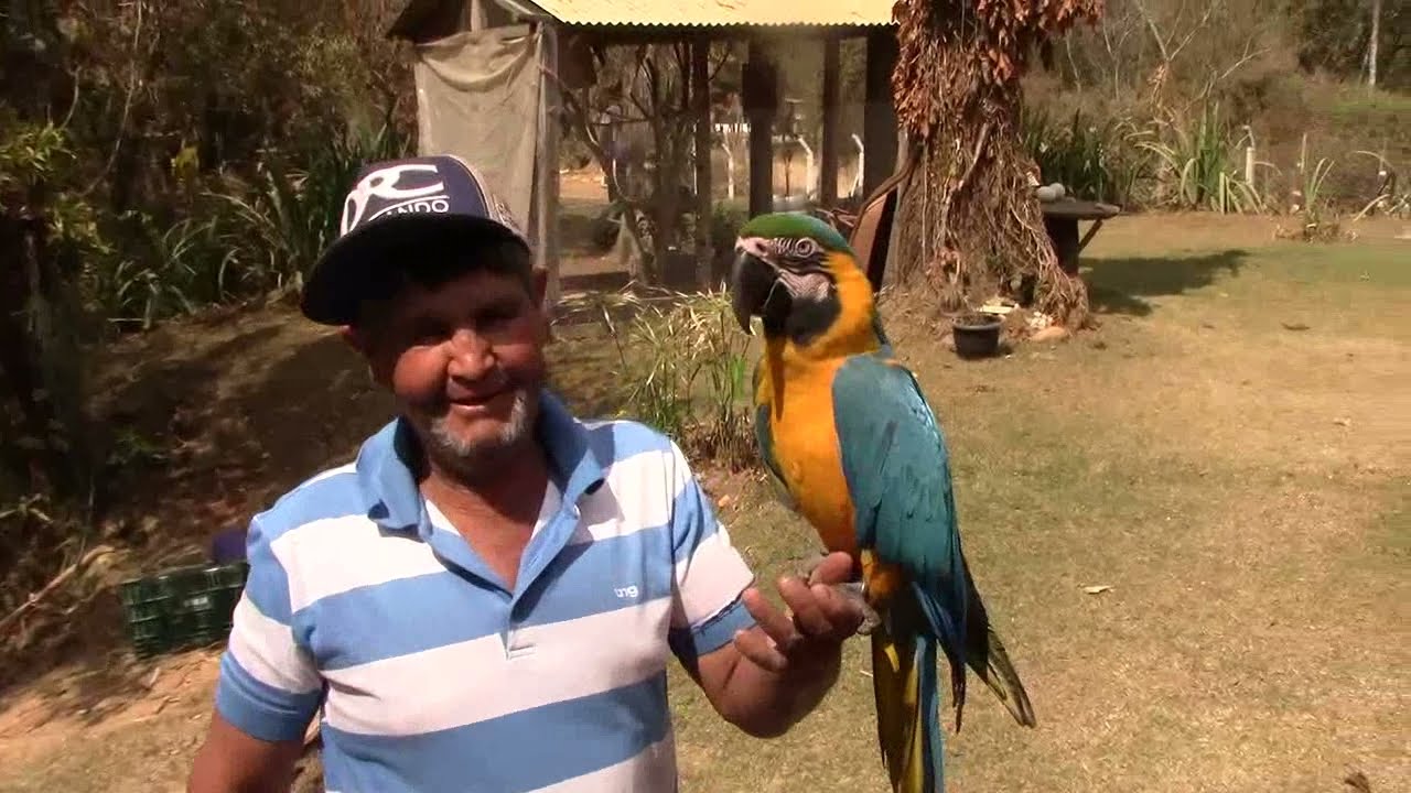 OS ANIMAIS DO JACI VILELA - ALPINÓPOLIS-MG