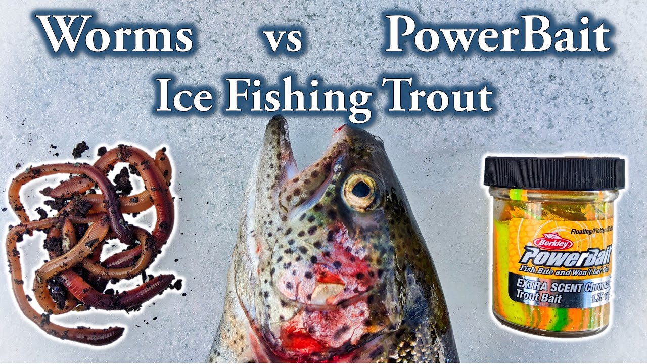 Worms vs PowerBait : Ice Fishing Trout