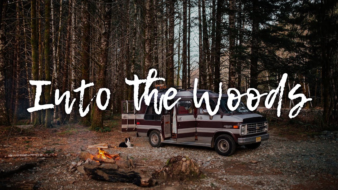 Into The Woods | Warm Acoustic Indie Folk Vibes