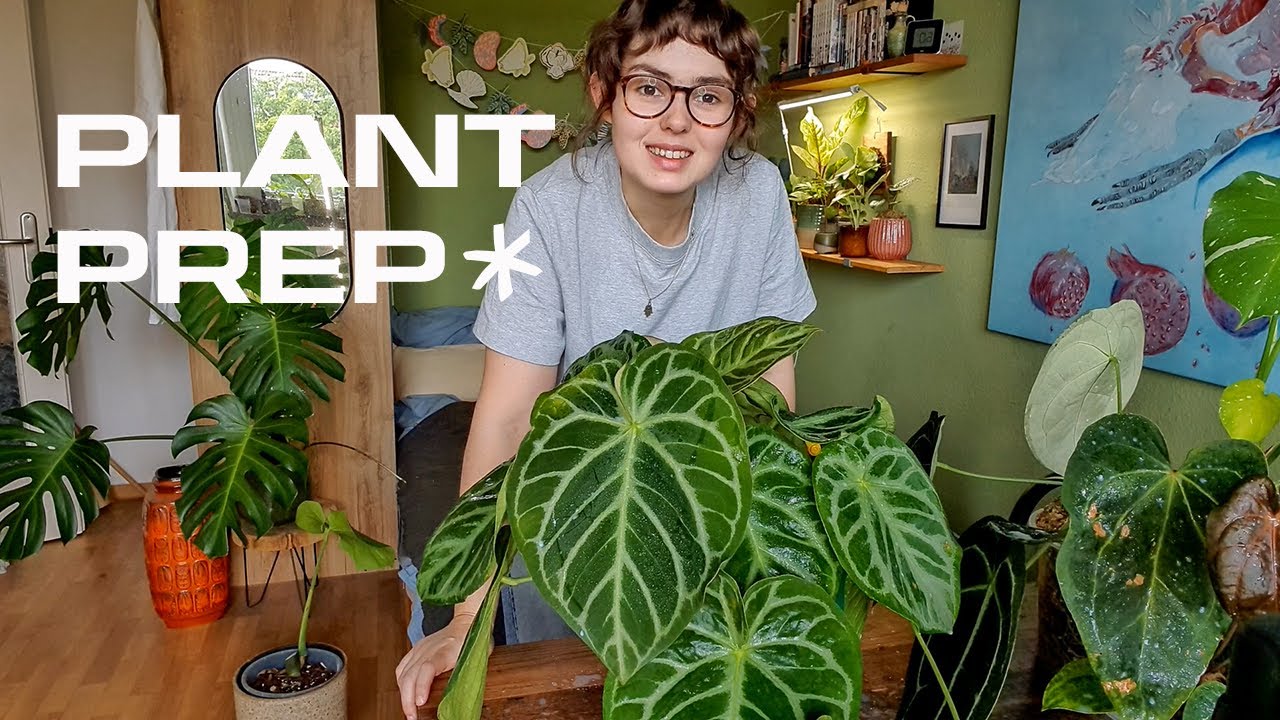 plant prep - vier monate nicht zu hause