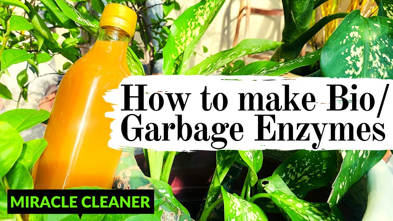 Bio Enzymes at home | DIY Natural Cleaner | Eco Enzyme | Garbage Enzyme by Kitchen Waste