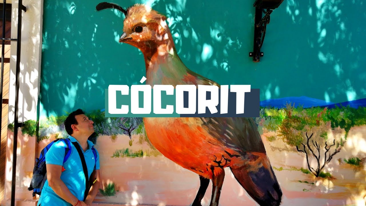 Cócorit, el Pueblo que debería ser Mágico | De viaje por Sonora, México