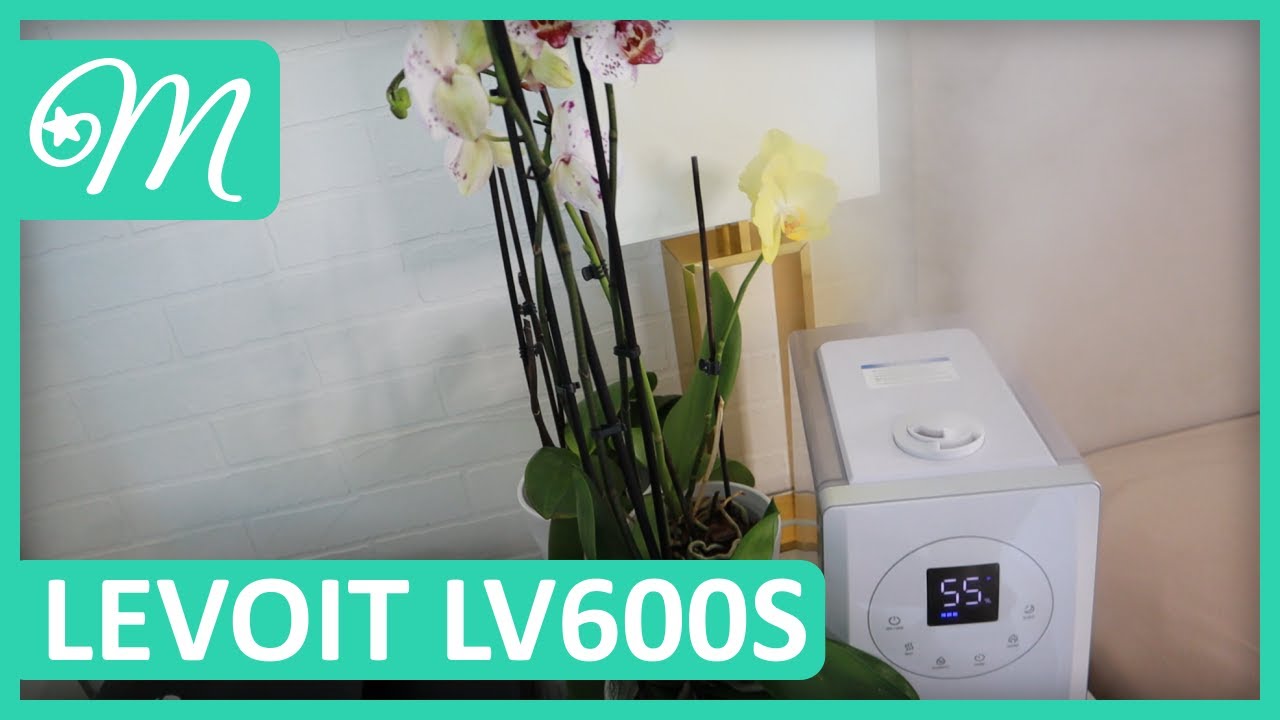 ŁATWY SPOSÓB NA POPRAWĘ KOMFORTU ŻYCIA. TEST I RECENZJA NAWILŻACZA POWIETRZA LEVOIT LV600S