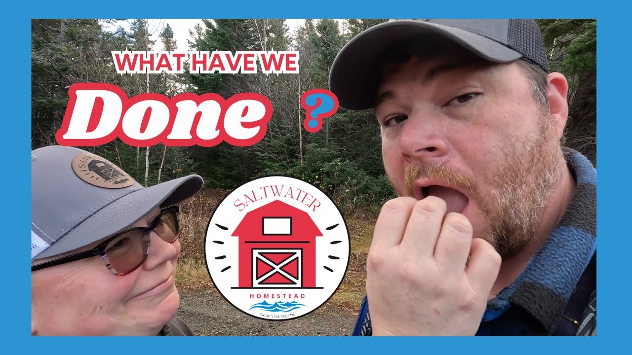 Homesteading For Beginners: Our Journey, Your Journey, Hope for Everyone!