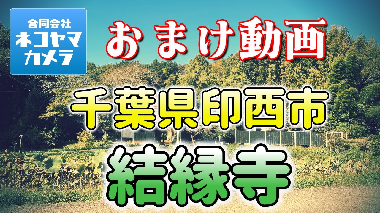 【千葉ちょこっと散歩】印西市の「結縁寺」をご紹介！美しい里山風景も見てみよう！ 千葉県印西市　#千葉県 #印西市 #結縁寺