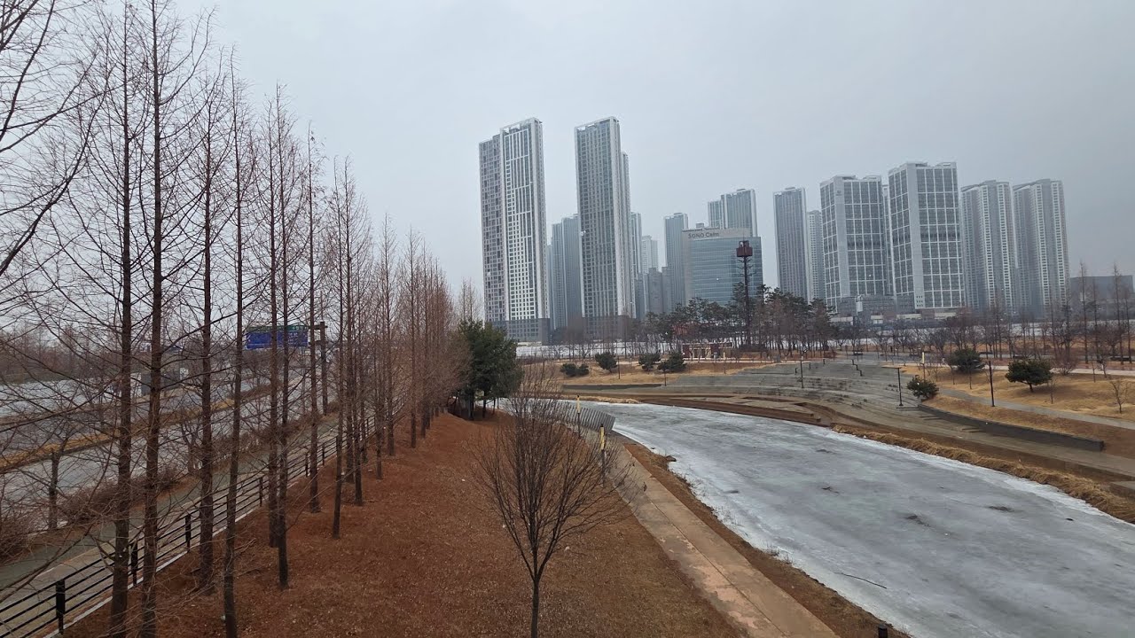눈 내리는 2월의 일산