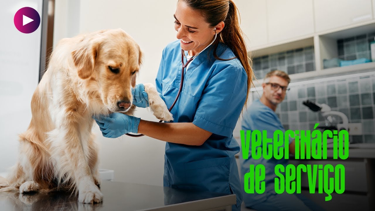 Um Dia de uma Veterinária