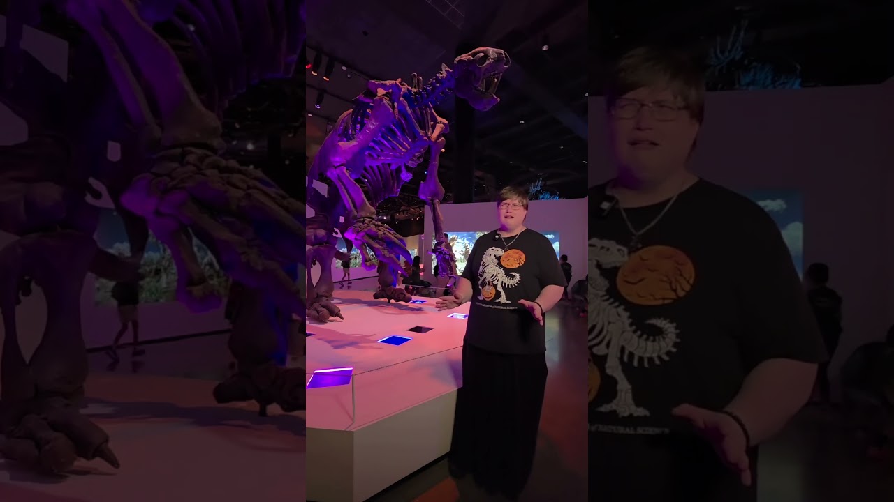 This Giant Ground Sloth was an absolute UNIT...as the spooky specter explains #science #paleontology