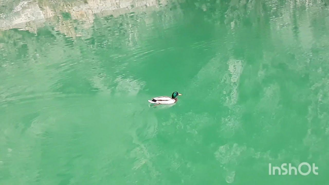 🤩Fontaine de vaucluse_la sorgues France /مناظر خلابة جنوب فرنسا -فونتين دفوكلوز
