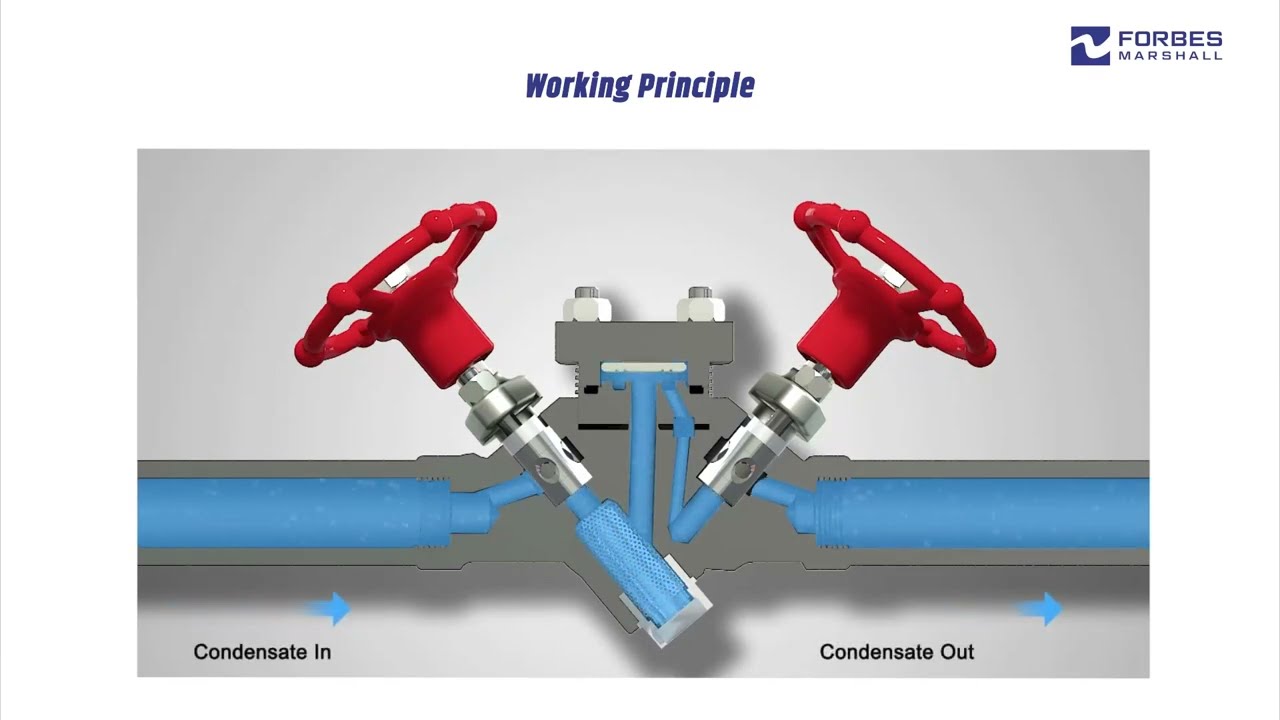 Compact Module Thermodynamic Steam Trap | CMTD | Improve Uptime of Steam Distribution Trapping