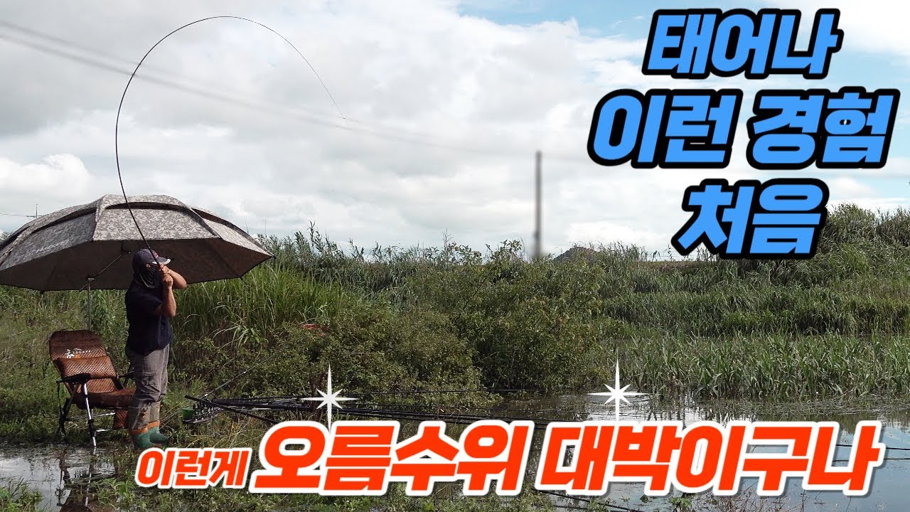 바글바글 들어왔네~ 역대급 오름수위 특수를 경험한 꾼