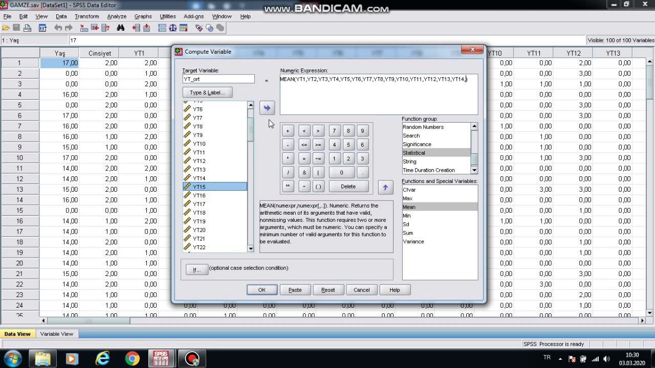 SPSS verilerin ortalamasını almak (avaraging data) (mean)