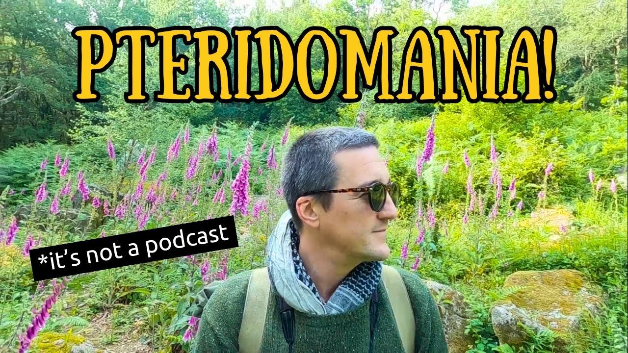 The Victorian Fern Craze - The Dartmoor Podcast Episode Fifty Three