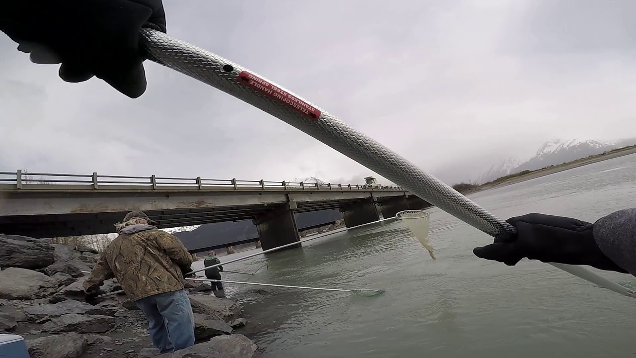 Alaska Dip-Netting - Hooligan Fish @ 20 Mile River