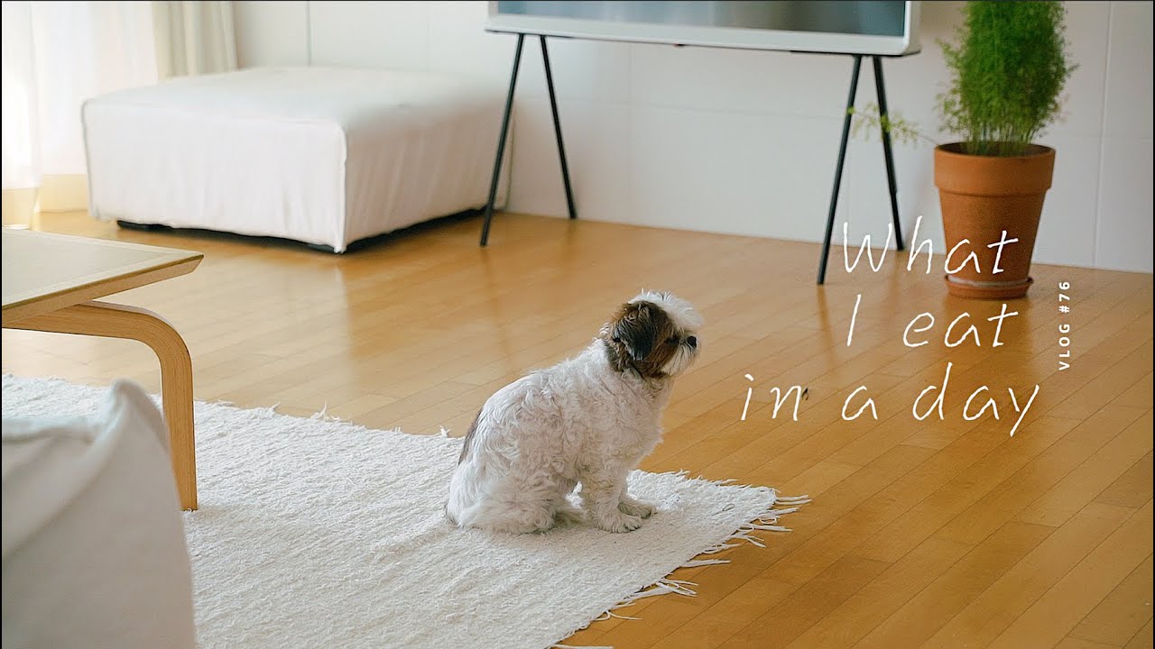 [SUB] VLOG #76 하루세끼, 가을아침에 잘 어울리는 보리술빵, 레몬파스타, 멸치솥밥 | What I eat in a day, barley Makgeolli bread