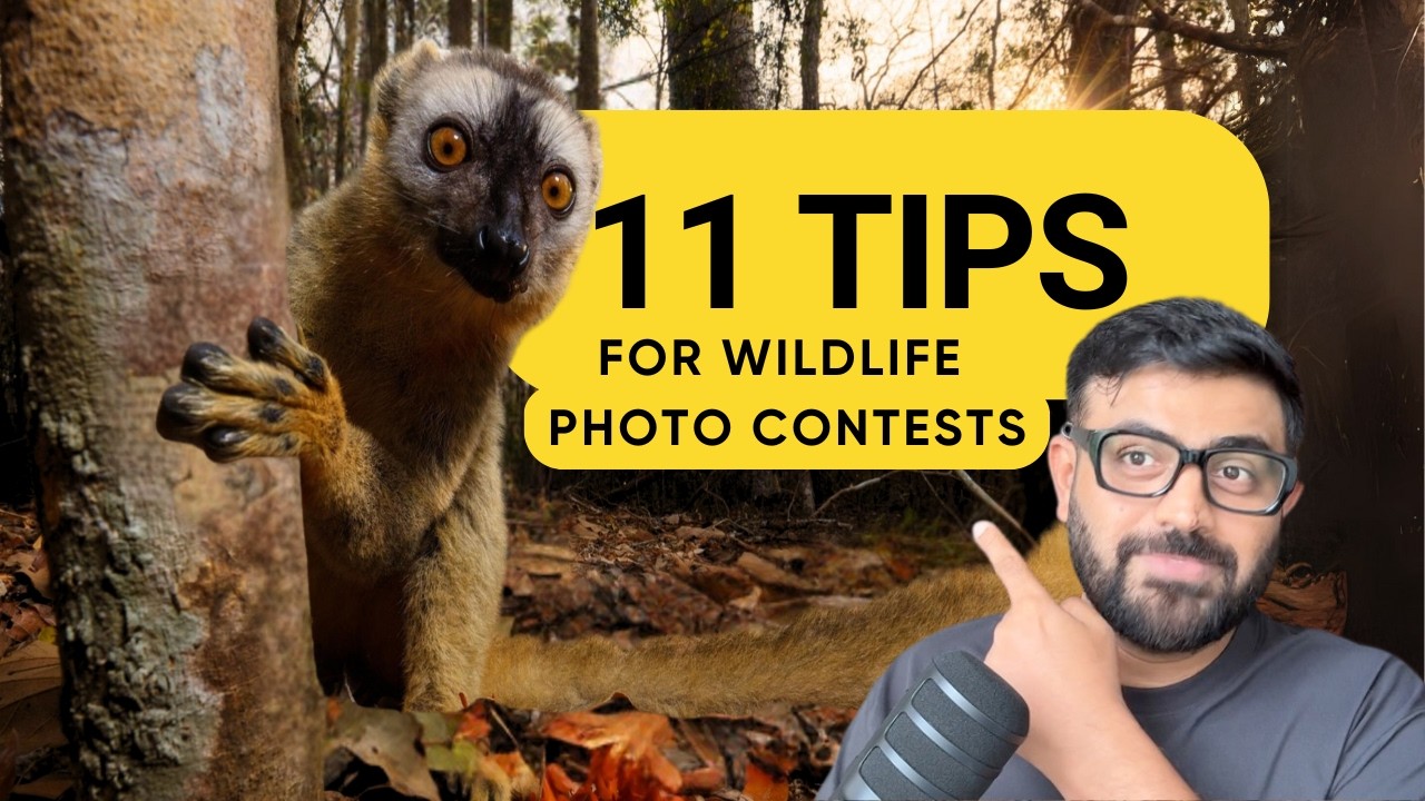 11 Nature Photography Contest Tips&nbsp;and Insights